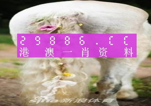 今晚一肖一碼澳門一肖四不像,跨部解答解釋落實_靈活款46.639