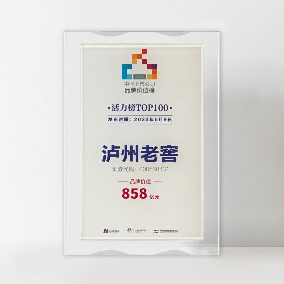 新澳門王中王100%期期中,前沿說明評估_公開品70.937
