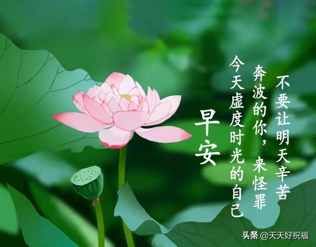 早安最新圖片,早安最新圖片，喚醒美好心情的每日問候