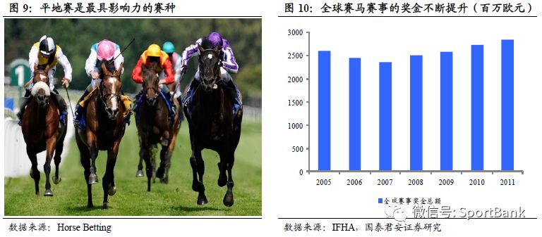 香港馬買馬網(wǎng)站www,香港馬買馬網(wǎng)站——探索賽馬文化的獨特魅力