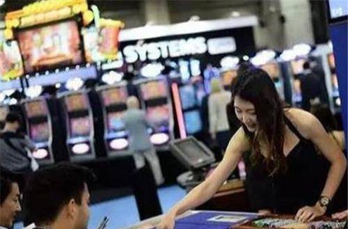 澳門精準(zhǔn)一肖一碼100%,澳門精準(zhǔn)一肖一碼100%，揭示犯罪背后的真相與挑戰(zhàn)