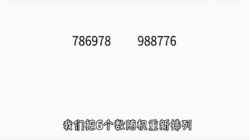 7777788888一肖一碼,探索神秘數(shù)字組合，77777與88888一肖一碼的魅力世界
