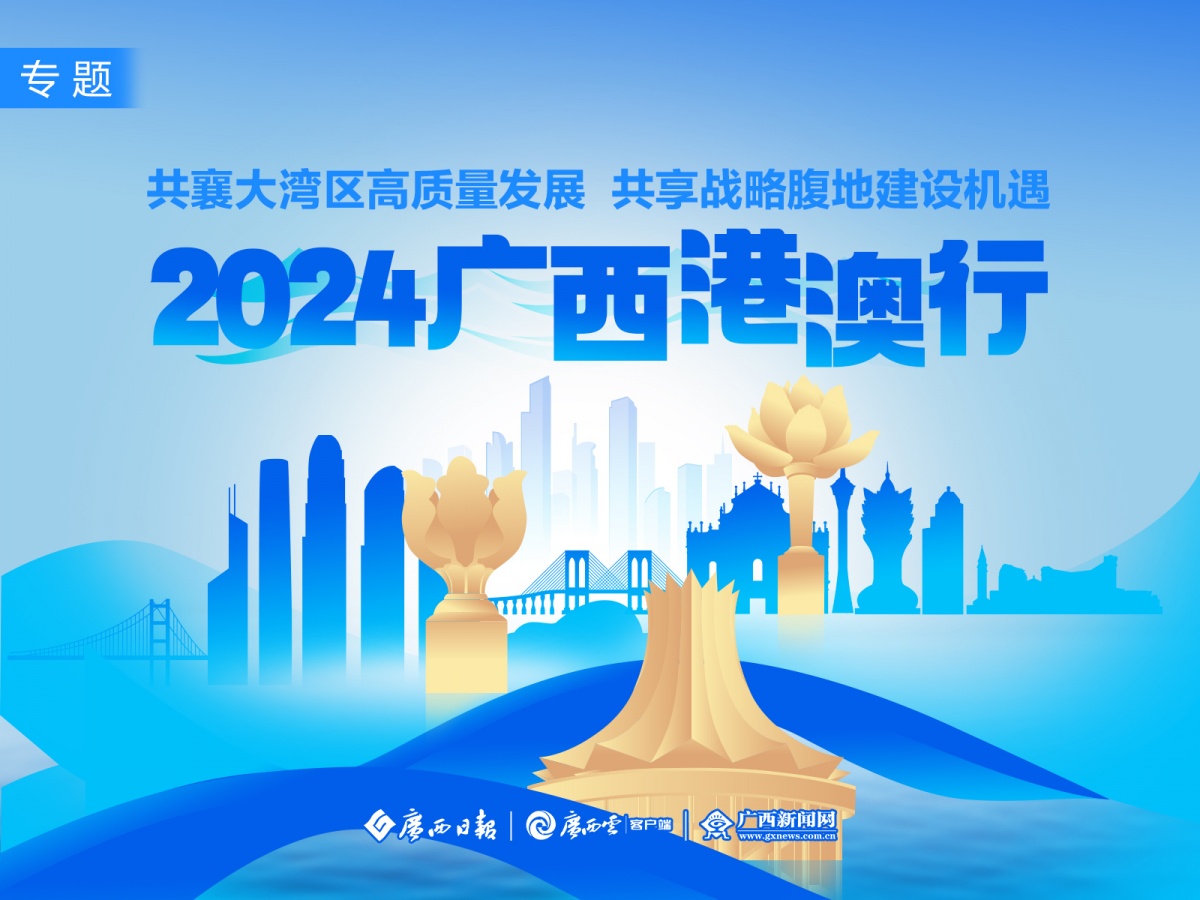 澳門正版精準(zhǔn)免費(fèi)大全,澳門正版精準(zhǔn)免費(fèi)大全，一個(gè)犯罪問題的探討