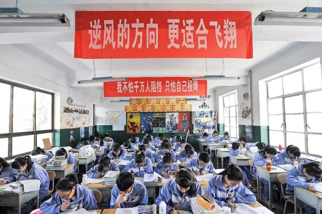 澳門一碼一肖一特一中,澳門一碼一肖一特一中與犯罪問題