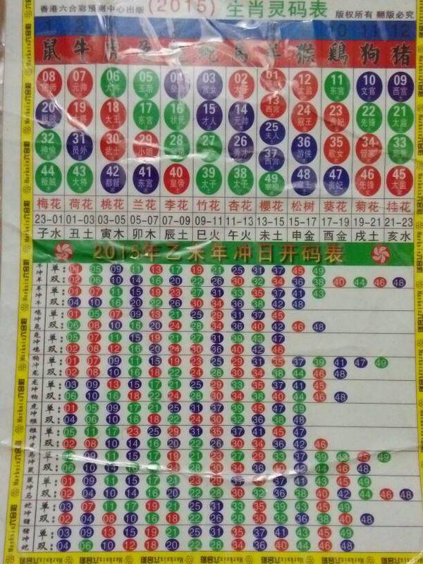 2024年12生肖49碼圖,揭秘2024年十二生肖與49碼圖的神秘關(guān)聯(lián)