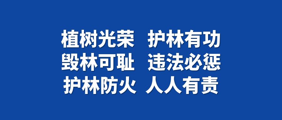 2020年今晚澳門特馬號(hào),關(guān)于澳門特馬號(hào)的警示，警惕違法犯罪行為