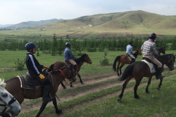2024澳門特馬今晚開獎直播,關(guān)于澳門特馬今晚開獎直播的探討——警惕違法犯罪風險