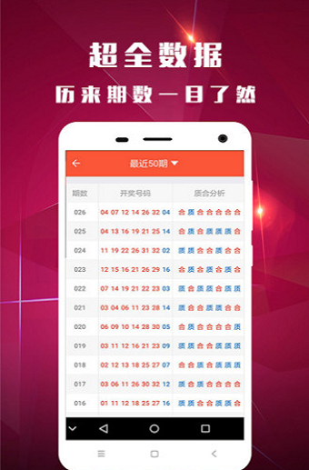 2024白小姐一肖一碼,揭秘2024白小姐一肖一碼——探尋背后的神秘面紗