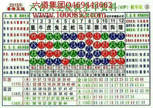 2024年十二生肖49碼表,揭秘2024年十二生肖與數(shù)字49的奇妙聯(lián)系——一份詳盡的49碼表