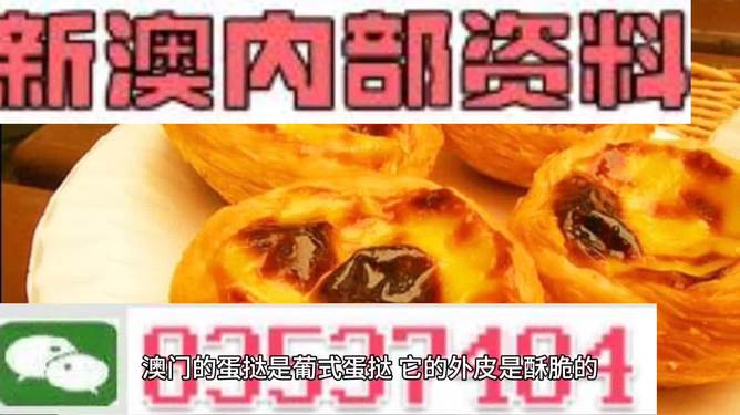 2024新澳精準(zhǔn)正版資料大全,關(guān)于新澳精準(zhǔn)正版資料的探討與警示——警惕犯罪風(fēng)險，共建和諧社區(qū)