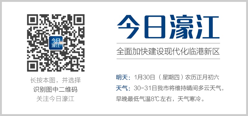 22324濠江論壇一肖一碼,探索濠江論壇，一肖一碼的魅力與影響