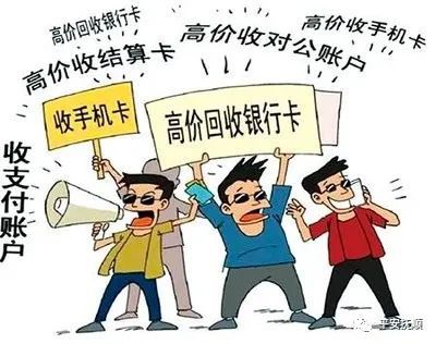 濠江精準資料大全免費,濠江精準資料大全免費，探索信息的海洋，助力精準決策