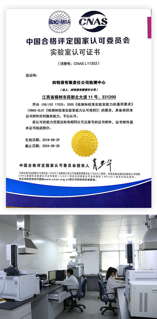 四碼中特內部資料,揭秘四碼中特內部資料，探索與解析
