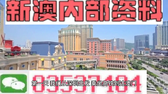 新奧彩正版免費資料查詢,新奧彩正版免費資料查詢，探索與解析