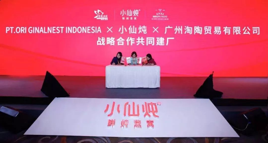 新奧最準免費資料大全,新奧最準免費資料大全，探索與啟示