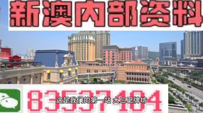 2024新奧正版資料最精準(zhǔn)免費(fèi)大全,揭秘2024新奧正版資料最精準(zhǔn)免費(fèi)大全，全方位解讀與深度探索