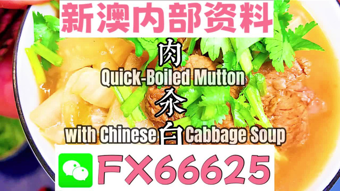 管家婆一碼中一肖2024,探索未來幸運之門，管家婆一碼中一肖2024