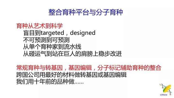 新澳資料免費(fèi)最新正版,新澳資料免費(fèi)最新正版，助力學(xué)術(shù)研究與個(gè)人成長的無價(jià)資源