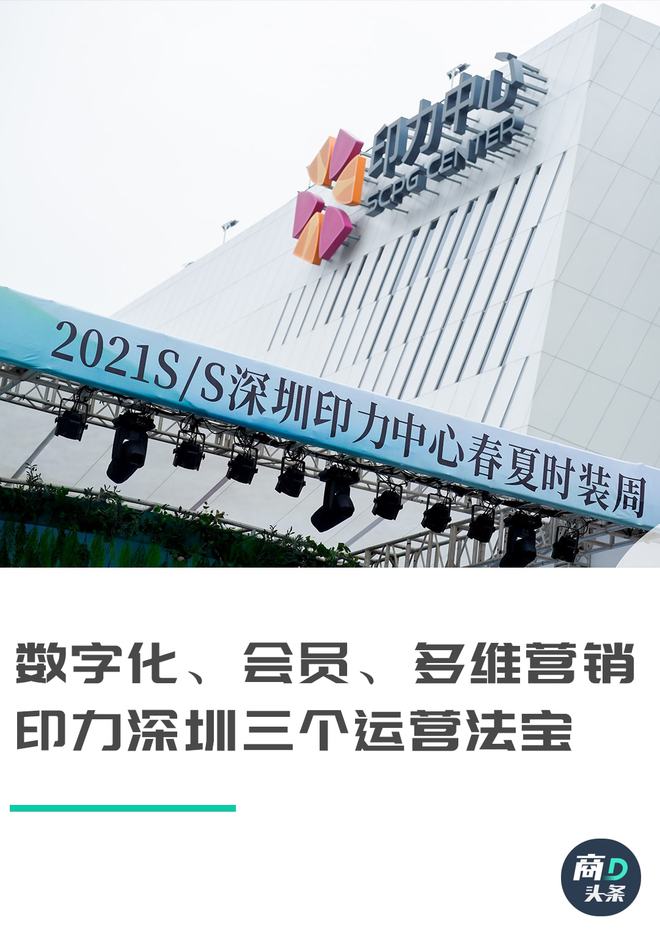 一肖一碼一一肖一子深圳,一肖一碼一一肖一子在深圳的獨特印記
