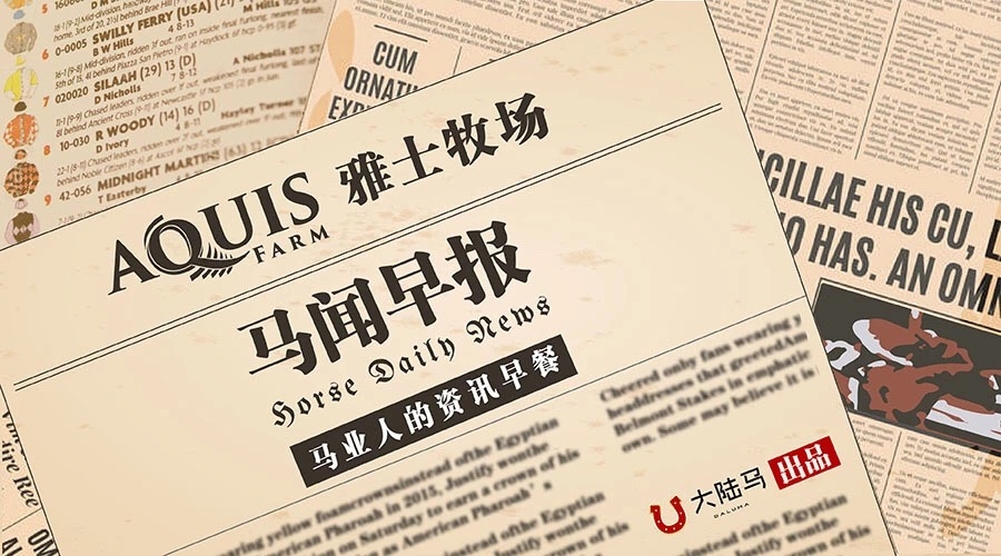澳門馬會(huì)傳真,澳門馬會(huì)傳真，探索賽馬運(yùn)動(dòng)的魅力與現(xiàn)代化發(fā)展