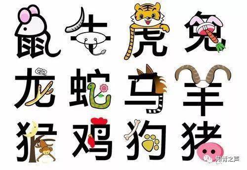 一肖一碼一,一肖一碼一，探索數(shù)字與生肖的奧秘