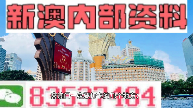 新澳門精準資料,新澳門精準資料，揭示違法犯罪的危害與應(yīng)對之策