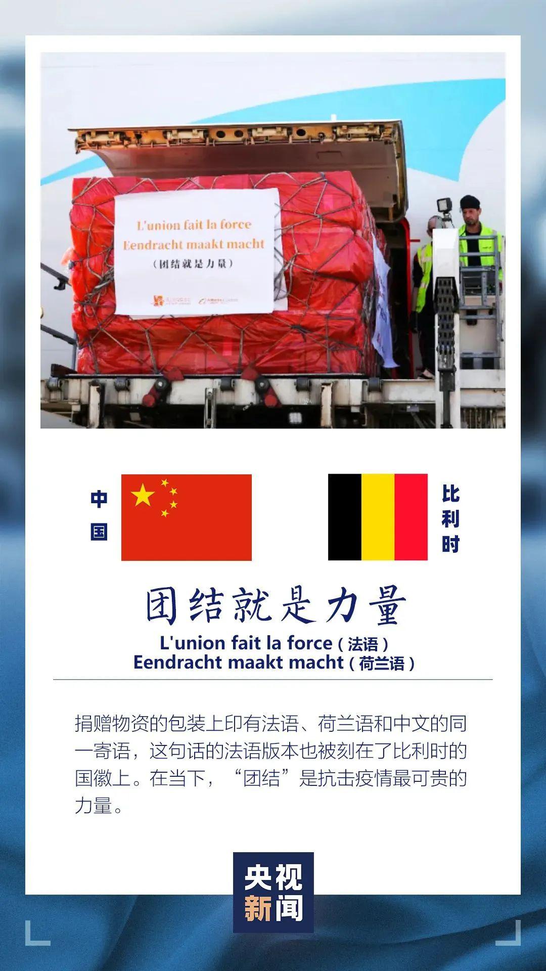 2024新奧正版資料免費提供,揭秘2024新奧正版資料，免費提供，助力你的成功之路