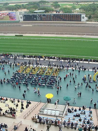 2024年香港正版資料免費(fèi)大全|接力釋義解釋落實(shí),2024年香港正版資料免費(fèi)大全，接力釋義，落實(shí)行動(dòng)
