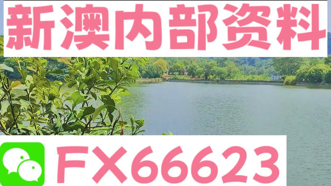 新澳精準(zhǔn)資料免費(fèi)提供4949期|堅(jiān)持釋義解釋落實(shí),新澳精準(zhǔn)資料免費(fèi)提供，4949期的堅(jiān)持釋義、解釋與落實(shí)