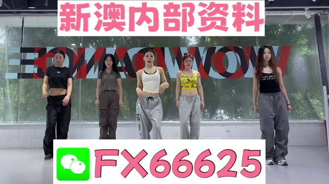 管家婆一碼一肖100%|干練釋義解釋落實,管家婆一碼一肖與干練的釋義解釋及落實