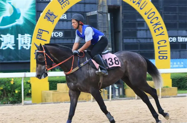 新澳門今晚開特馬結(jié)果查詢|智計釋義解釋落實,新澳門今晚開特馬結(jié)果查詢，智計釋義與行動落實