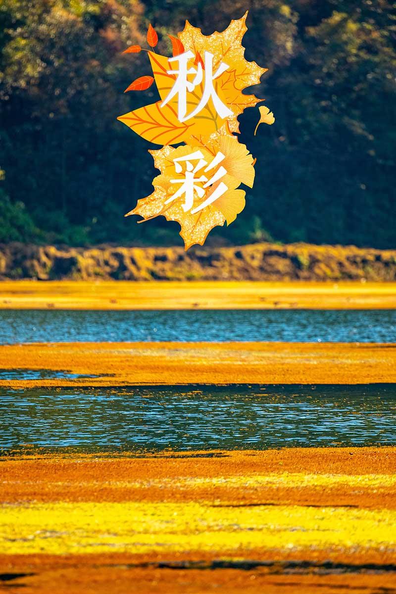 2025年天天彩資料免費(fèi)大全|詞語(yǔ)釋義解釋落實(shí),關(guān)于天天彩資料免費(fèi)大全與詞語(yǔ)釋義解釋落實(shí)的探討