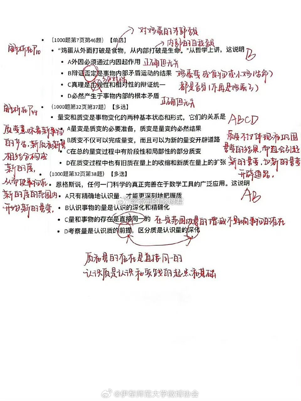 一肖一碼一一肖一子|堅實釋義解釋落實,一肖一碼一一肖一子，堅實釋義解釋落實