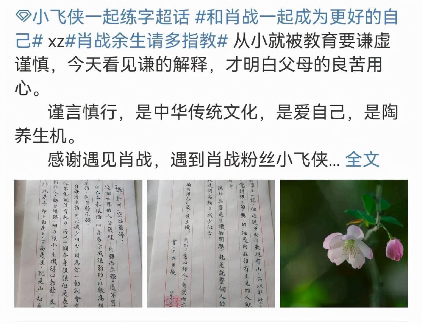 澳門最準(zhǔn)連三肖|事在釋義解釋落實(shí),澳門最準(zhǔn)連三肖，事在人為，釋義解釋與落實(shí)的重要性