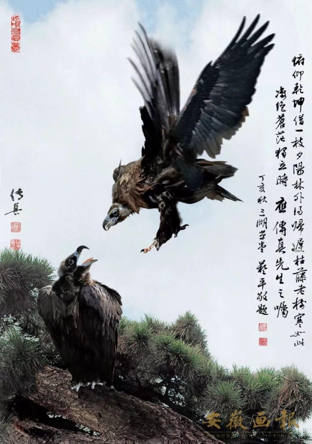 2025澳門傳真免費(fèi)|性說(shuō)釋義解釋落實(shí),澳門傳真免費(fèi)，性說(shuō)釋義解釋落實(shí)的探討