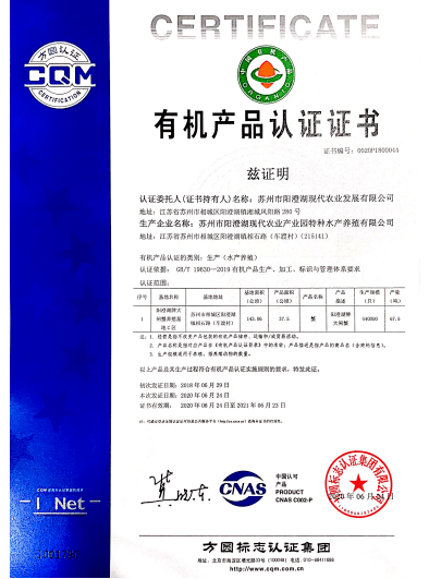 新奧門特免費(fèi)資料大全火鳳凰|處理釋義解釋落實(shí),新澳門特免費(fèi)資料大全火鳳凰，處理釋義、解釋與落實(shí)