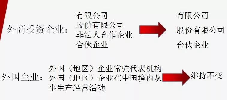 澳門平特一肖100最準(zhǔn)一肖必中|迎接釋義解釋落實(shí),澳門平特一肖，揭秘預(yù)測技巧與迎接釋義解釋落實(shí)的重要性