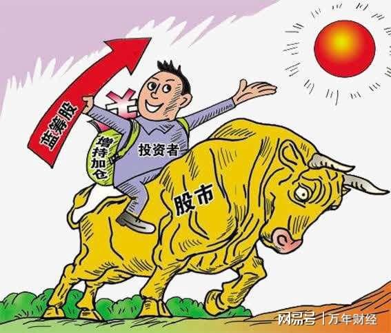 2025特大牛市即將爆發(fā)|以心釋義解釋落實(shí),2025特大牛市即將爆發(fā)——以心釋義，深度解析并落實(shí)