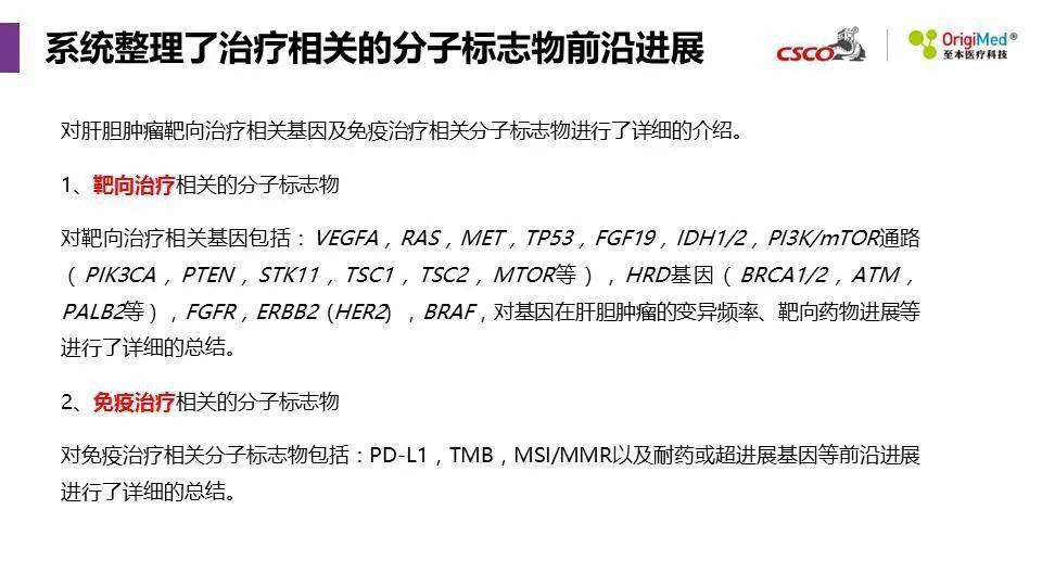 2025澳門精準(zhǔn)正版圖庫|接力釋義解釋落實,探索澳門正版圖庫的未來，接力釋義解釋與落實策略