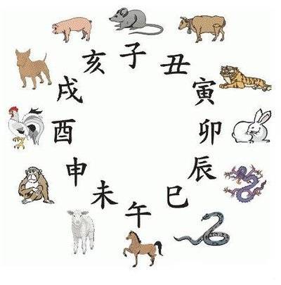 四不像正版資料2025|性格釋義解釋落實,四不像正版資料與性格釋義，深度解讀與落實策略