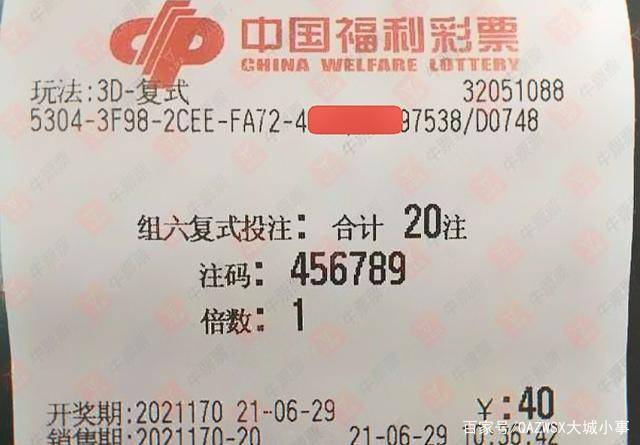 龍?zhí)痘⒀?第4頁