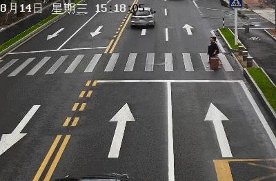 珠海駕車撞行人的原因|政策釋義解釋落實(shí),珠海駕車撞行人事件背后的原因探究與政策釋義落實(shí)的重要性