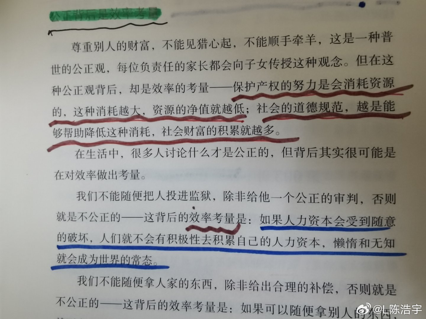 一肖一碼一一肖一子|理性釋義解釋落實(shí),一肖一碼一一肖一子，理性釋義、解釋與落實(shí)