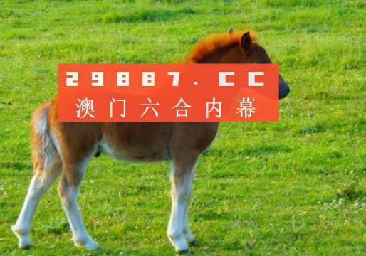 今晚澳門(mén)必中一肖一碼適|領(lǐng)域釋義解釋落實(shí),今晚澳門(mén)必中一肖一碼，領(lǐng)域釋義、解釋與落實(shí)