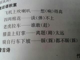 澳門正版資料大全免費(fèi)歇后語|文字釋義解釋落實(shí),澳門正版資料大全與歇后語，文字釋義解釋與落實(shí)的重要性