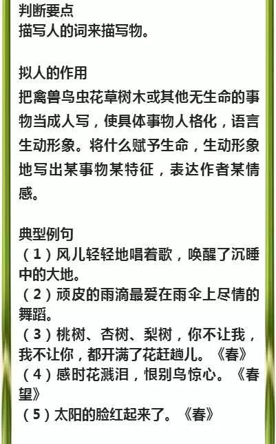 新澳精選資料免費提供|準繩釋義解釋落實,新澳精選資料免費提供，準繩釋義、解釋落實的重要性