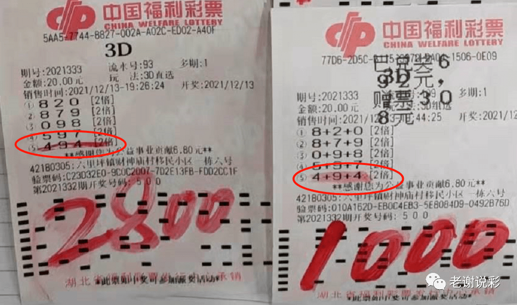 2025新澳天天開獎記錄|砥礪釋義解釋落實,探索未來彩票之路，聚焦新澳天天開獎記錄與砥礪前行的釋義落實