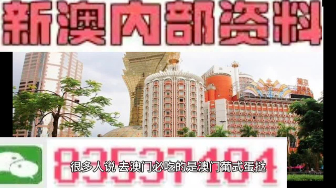 澳門內(nèi)部資料和公開資料|采納釋義解釋落實,澳門內(nèi)部資料和公開資料的采納釋義、解釋與落實