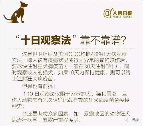 新澳天天開獎資料大全最新54期129期|準確釋義解釋落實,新澳天天開獎資料大全最新期數，深度解讀與準確釋義落實