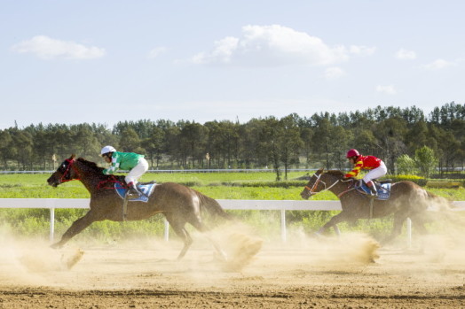 2025澳門特馬今晚開獎億彩網(wǎng)|最新正品動態(tài)解析|老道釋義解釋落實,澳門特馬今晚開獎億彩網(wǎng)——最新正品動態(tài)解析與老道釋義解釋落實